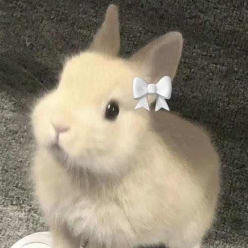 核桃