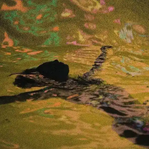 Zz